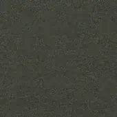 CA1610-031 ASCENDENT